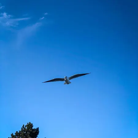 Pauline Prázdninový dům *