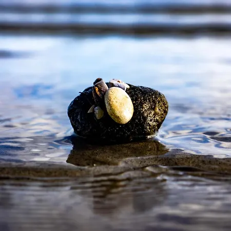 Pauline Prázdninový dům Glücksburg