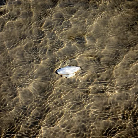 Prázdninový dům Pauline *